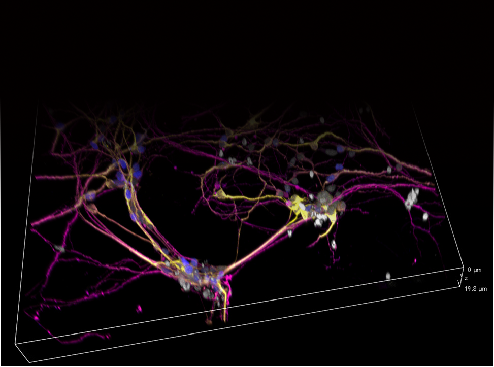 Advanced Diagnostic Equipment